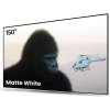 AWOL Vision Matte White 150 Inch Manual Projection Screen