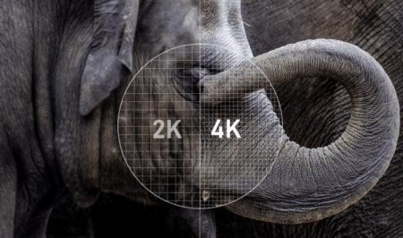 Description image for Eversolo DMP-A6M Network Audio Streamer Master Edition - Open Box