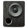 SVS PB-2000 500 Watt DSP Controlled 12" Ported Subwoofer