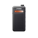 FiiO RR13 Portable Stereo FM Radio with Dual Speakers and Headphone Output BLACK