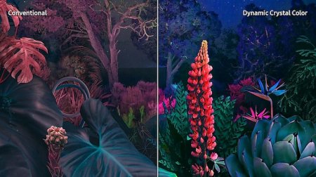 Description image for Samsung UN65CU8000FXZC 65-Inch CU8000 Crystal UHD 4K Smart TV [2023 Model]