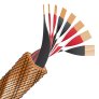 Wireworld ECS10 Eclipse 10 Speaker Cable 6.5ft (2M)