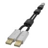 iFi Gemini Dual-Headed USB Cable (0.7 Meter)