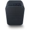 Bluesound Pulse Flex 2i Portable Wireless Multi-Room Smart Speaker with Bluetooth BLACK