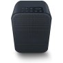 Bluesound Pulse Flex 2i Portable Wireless Multi-Room Smart Speaker with Bluetooth BLACK