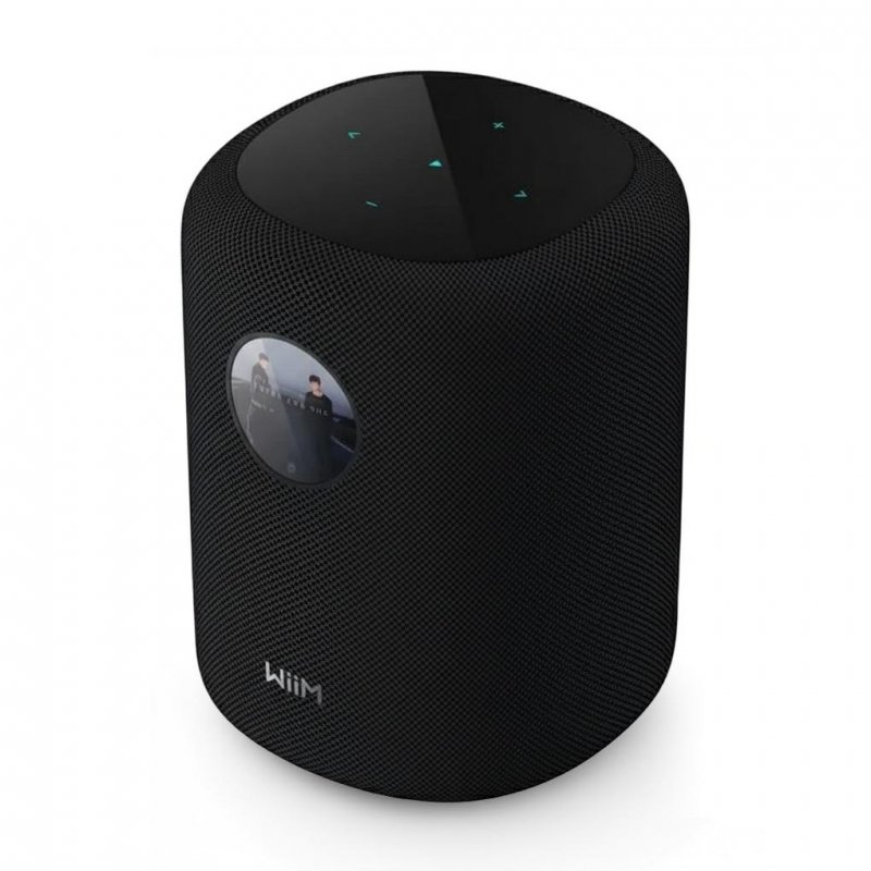WiiM Wireless WiFi Speaker with Touchcreen BLACK - Open Box
