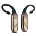 iFi GO Pod Max Lossless Bluetooth IEM Adapter &amp; DAC/AMP BLACK