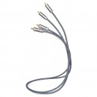 Asona AA100 Audio Interconnect Cable 1M (Pair)