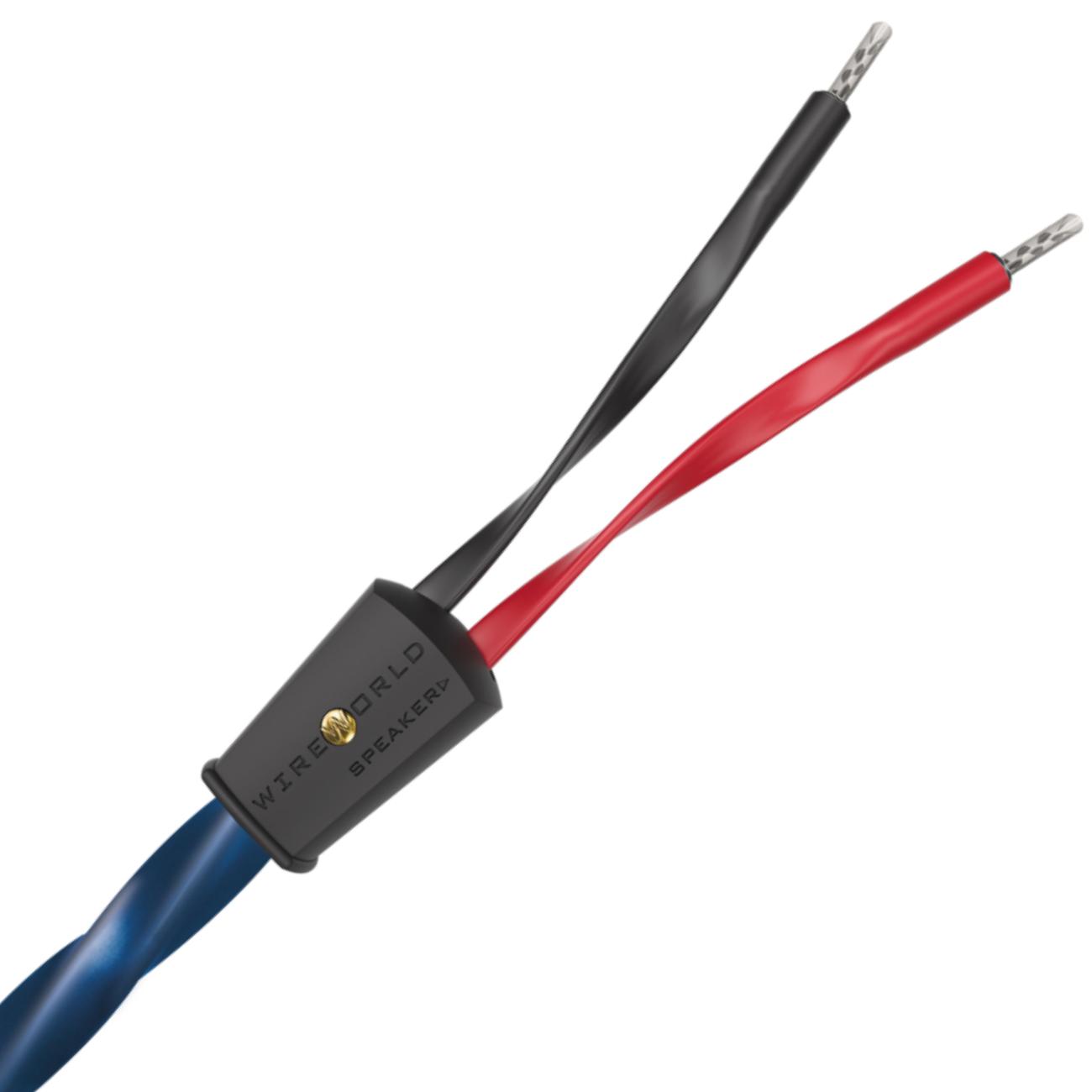 Wireworld OAS10 Oasis 10 Speaker Cable 10ft (3M) Canada : EFLC.ca