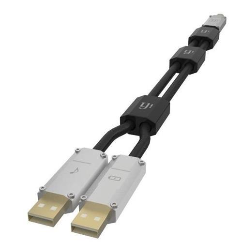 iFi Gemini Dual-Headed USB Cable (0.7 Meter)