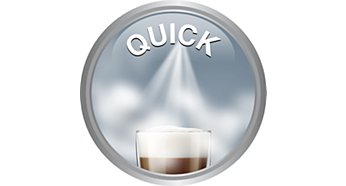 Quick Heat Boiler